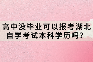 高中没毕业可以报考湖北自学考试本科学历吗？